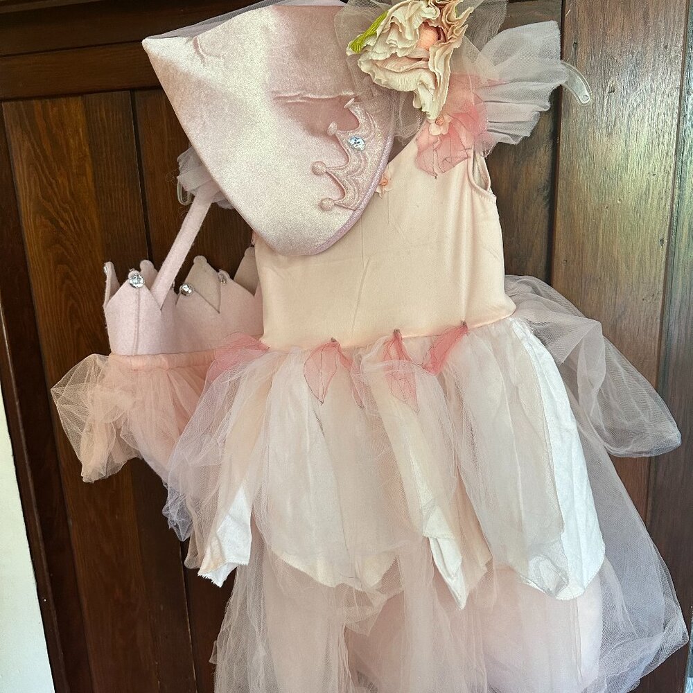 Pottery Barn princess costume